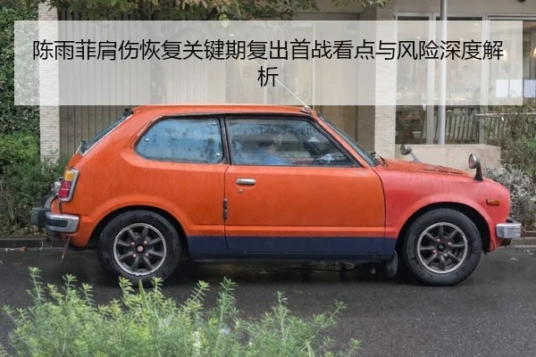 陈雨菲肩伤恢复关键期复出首战看点与风险深度解析